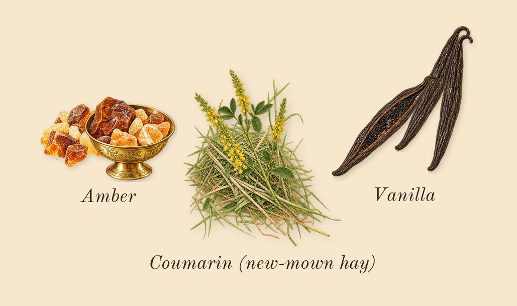 Viva La Juicy, dry-down: Vanilla, Amber, Coumarin (new-mown hay)