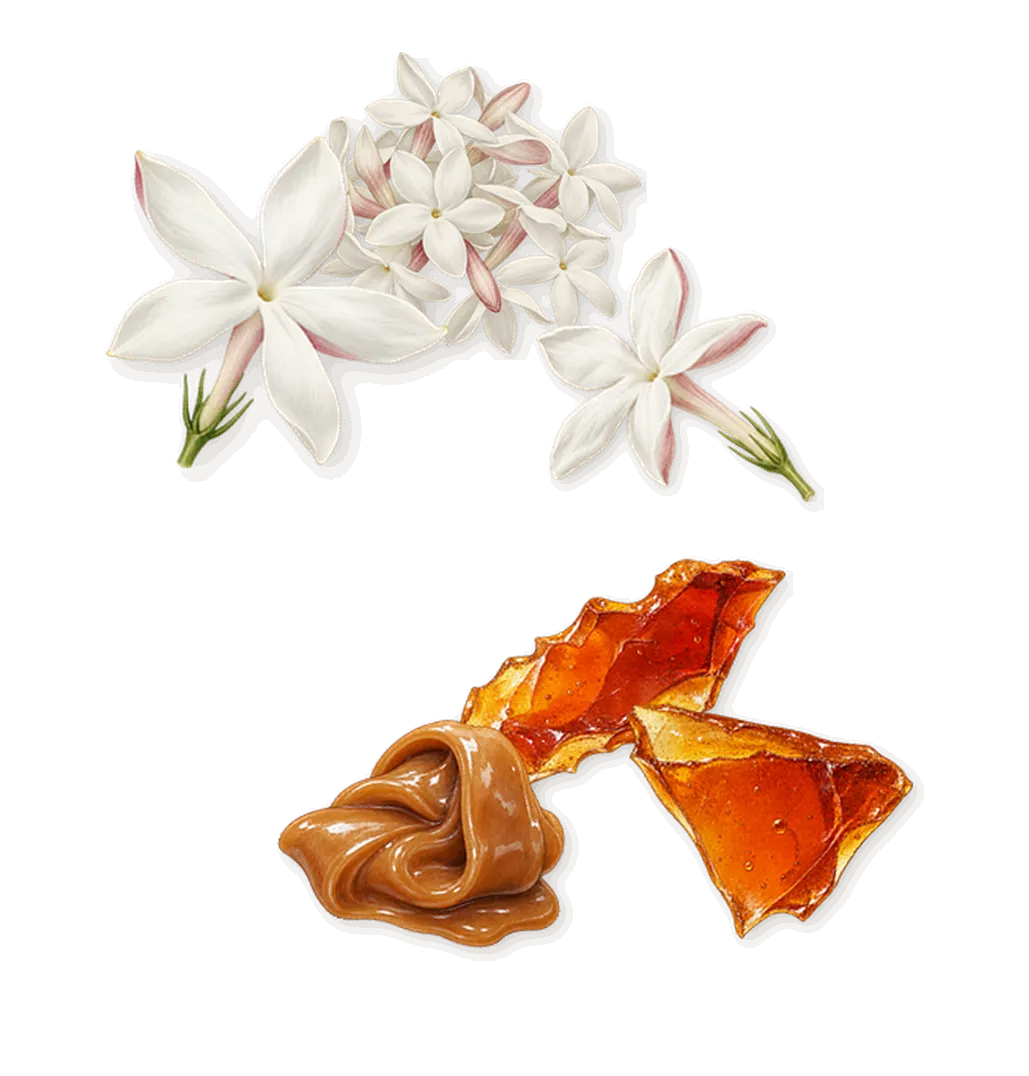 Viva La Juicy Elixir, as it settles: Jasmine, Brown sugar