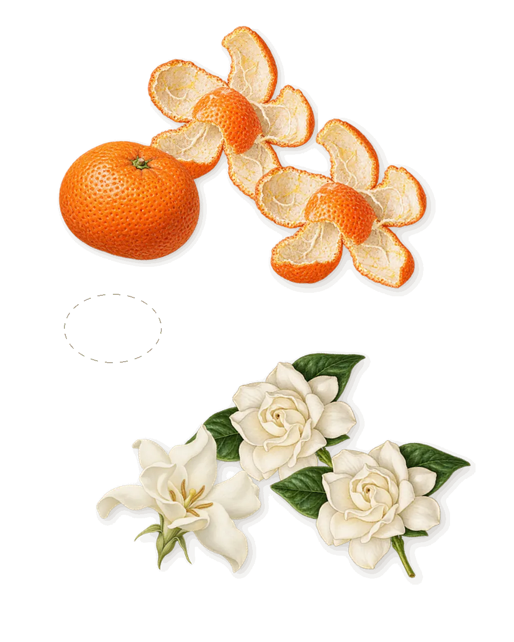 Viva La Juicy Elixir, when you spray it: Wild berries coulis, Mandarin, Gardenia