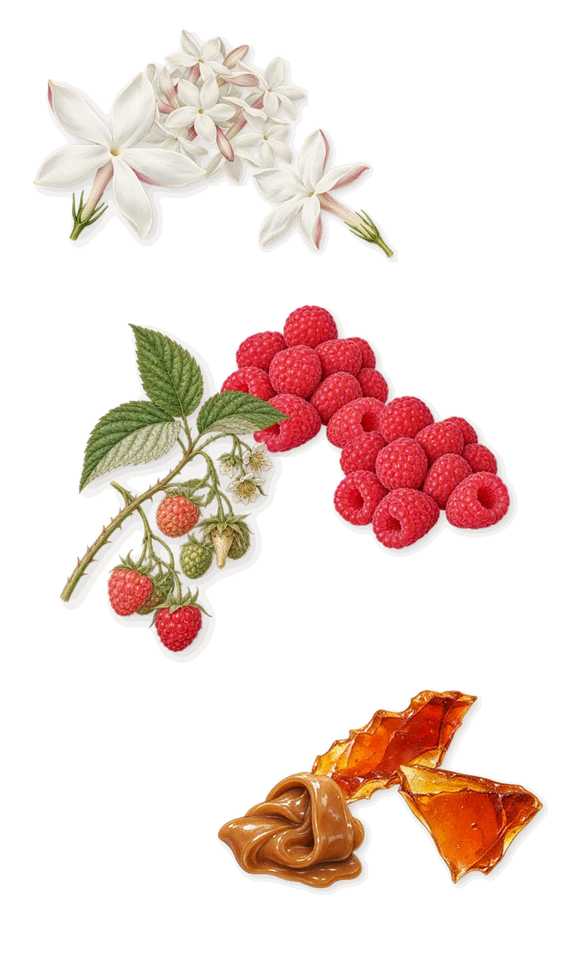 Mmmm..., as it settles: Jasmine, Caramel, Raspberry