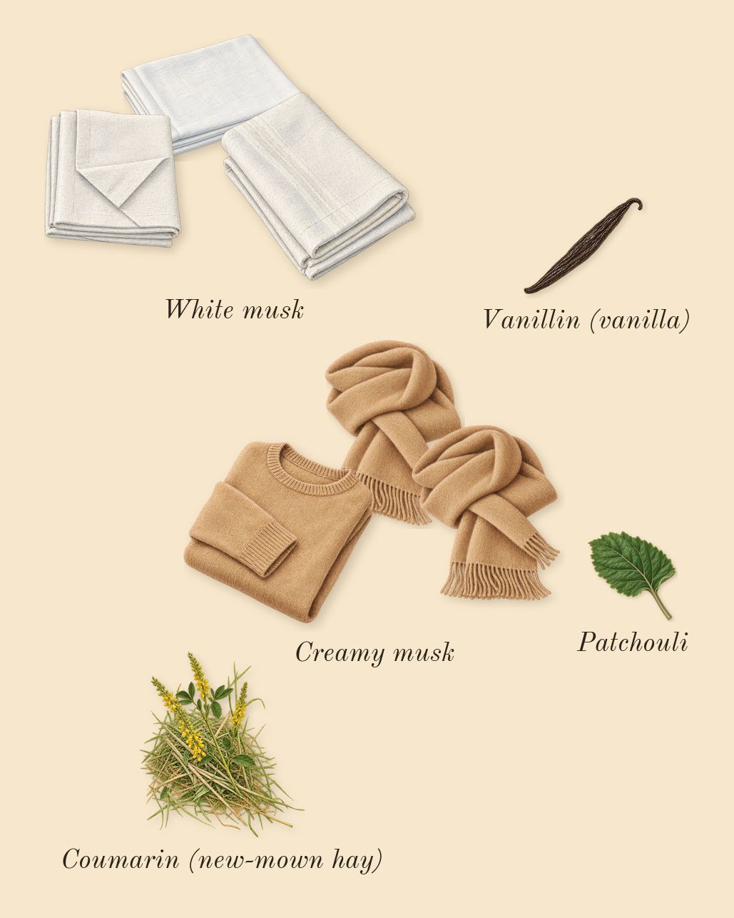 Musc Invisible, dry-down: White musk, Creamy musk, Patchouli, Vanillin (vanilla), Coumarin (new-mown hay)