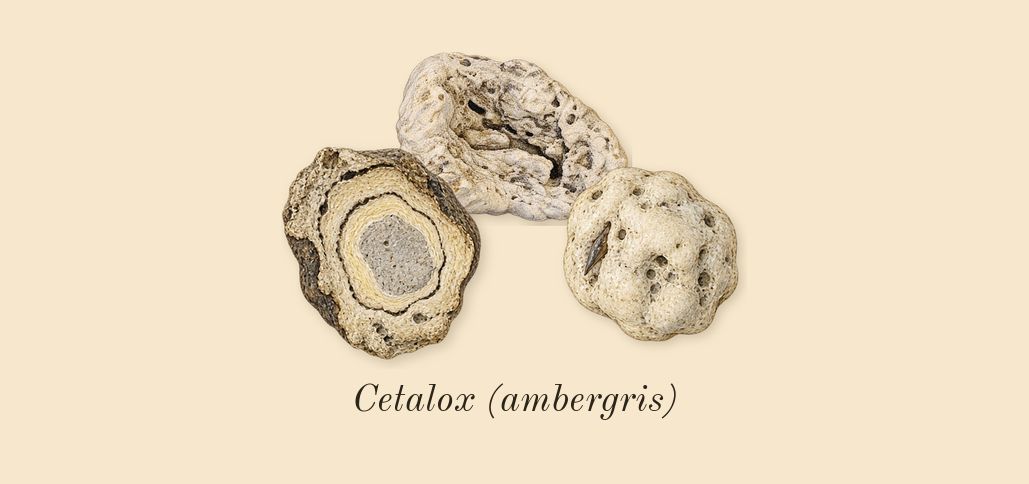 Not a Perfume, top notes: Cetalox (ambergris)