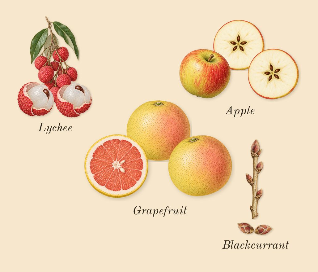 Eden Juicy Apple 01, top notes: Apple, Blackcurrant, Grapefruit, Lychee