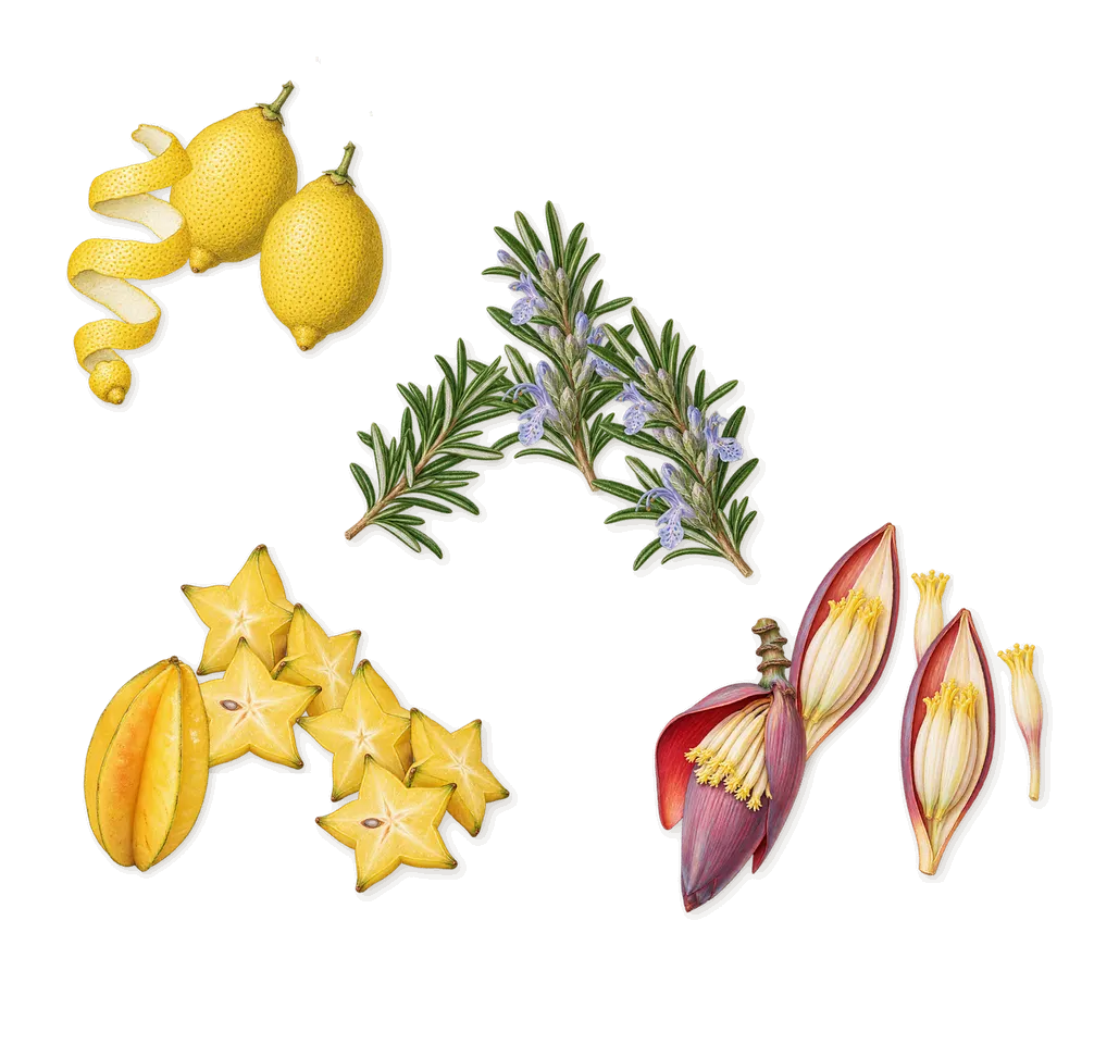 Maldives in a Bottle Ylang Coco 20, when you spray it: Lemon, Carambola, Banana blossom, Rosemary