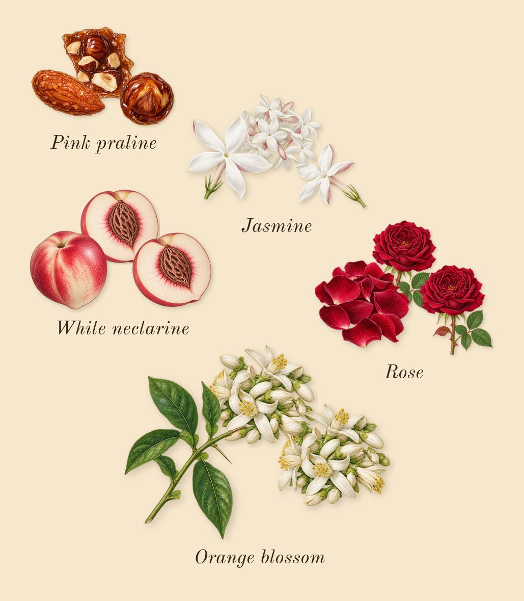 The Wedding Silk Santal 36, heart: Pink praline, Jasmine, Rose, Orange blossom, White nectarine