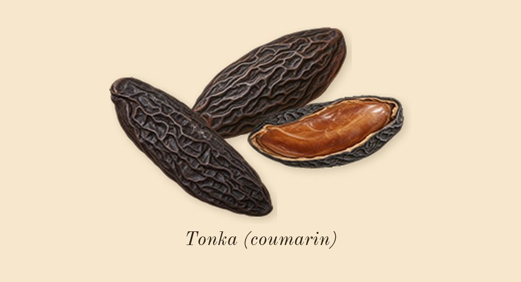 Vanilla 28, heart: Tonka (coumarin)