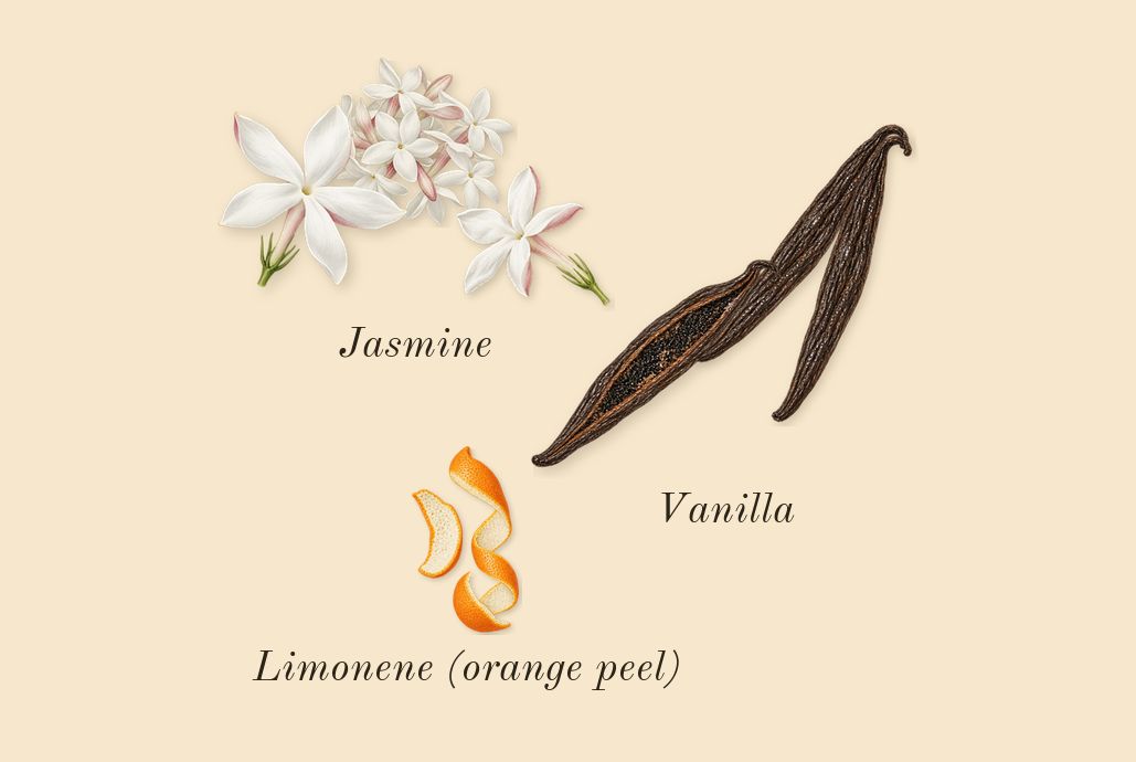 Vanilla 28, top notes: Vanilla, Jasmine, Limonene (orange peel)