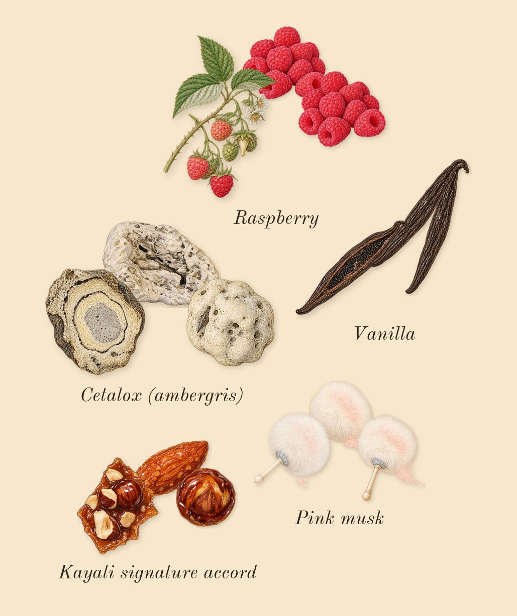 Yum Boujee Marshmallow 81, dry-down: Vanilla, Raspberry, Pink musk, Cetalox (ambergris), Kayali signature accord