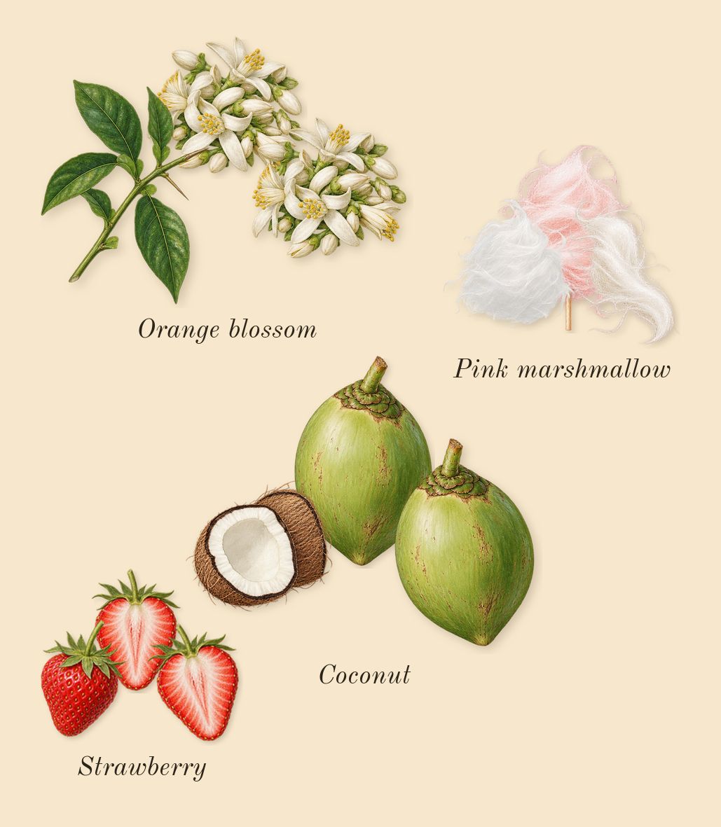 Yum Boujee Marshmallow 81, heart: Pink marshmallow, Strawberry, Coconut, Orange blossom
