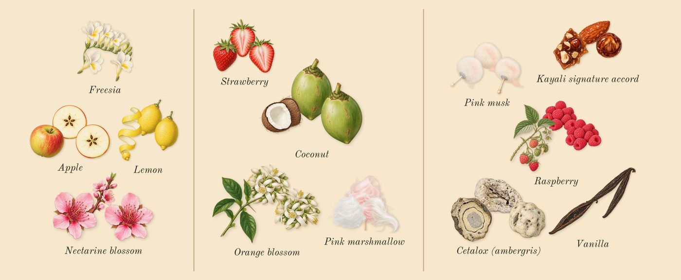 Yum Boujee Marshmallow 81’s scent picture, a draft: apple, nectarine blossom, freesia, lemon, pink marshmallow, strawberry drawn so far; dashed outlines where nothing is drawn yet
