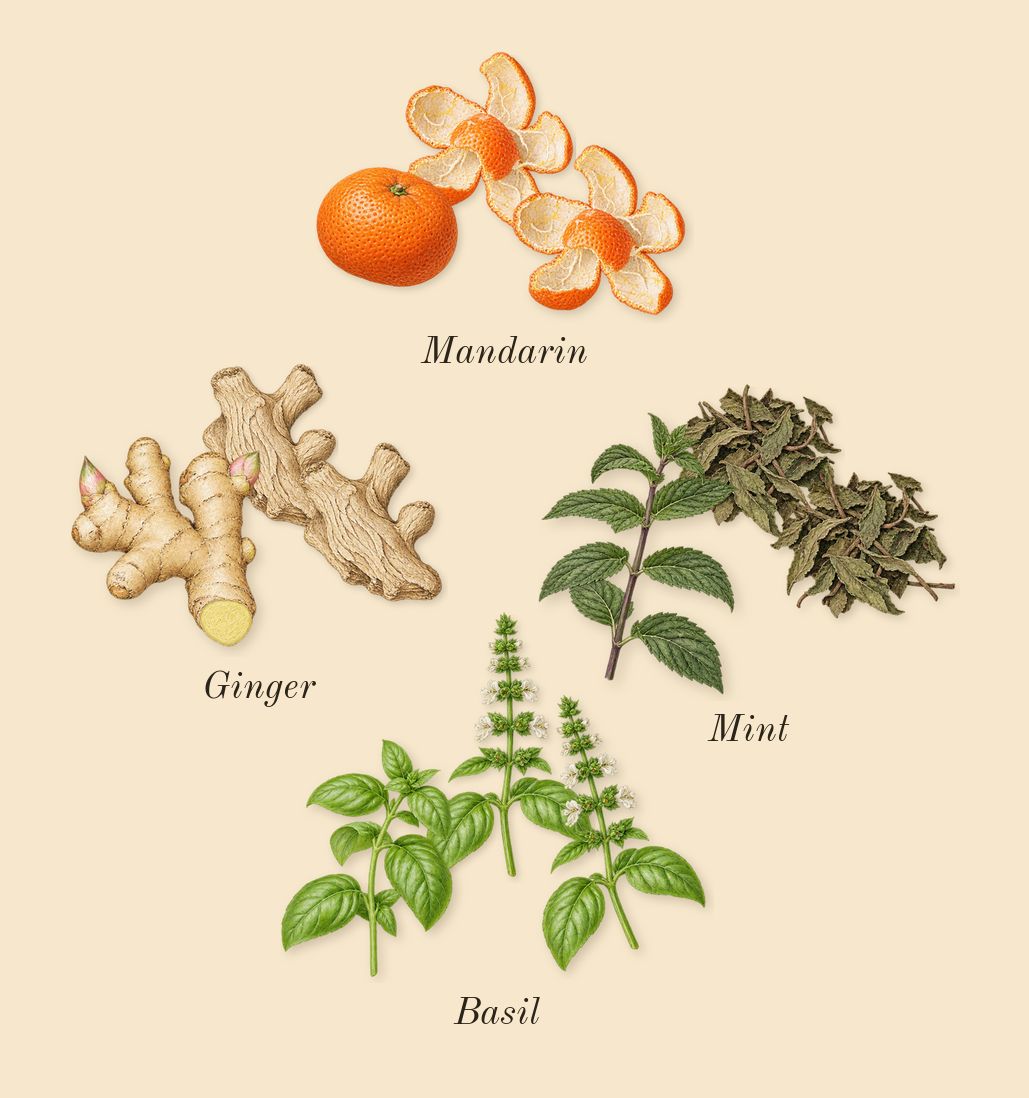 Black For Him, top notes: Mandarin, Mint, Ginger, Basil
