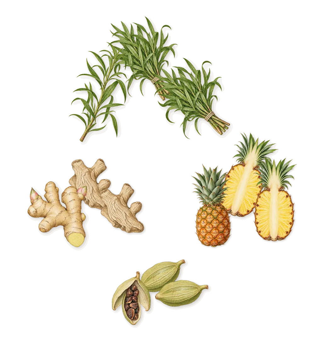 Mankind, when you spray it: Pineapple, Cardamom, Ginger, Tarragon