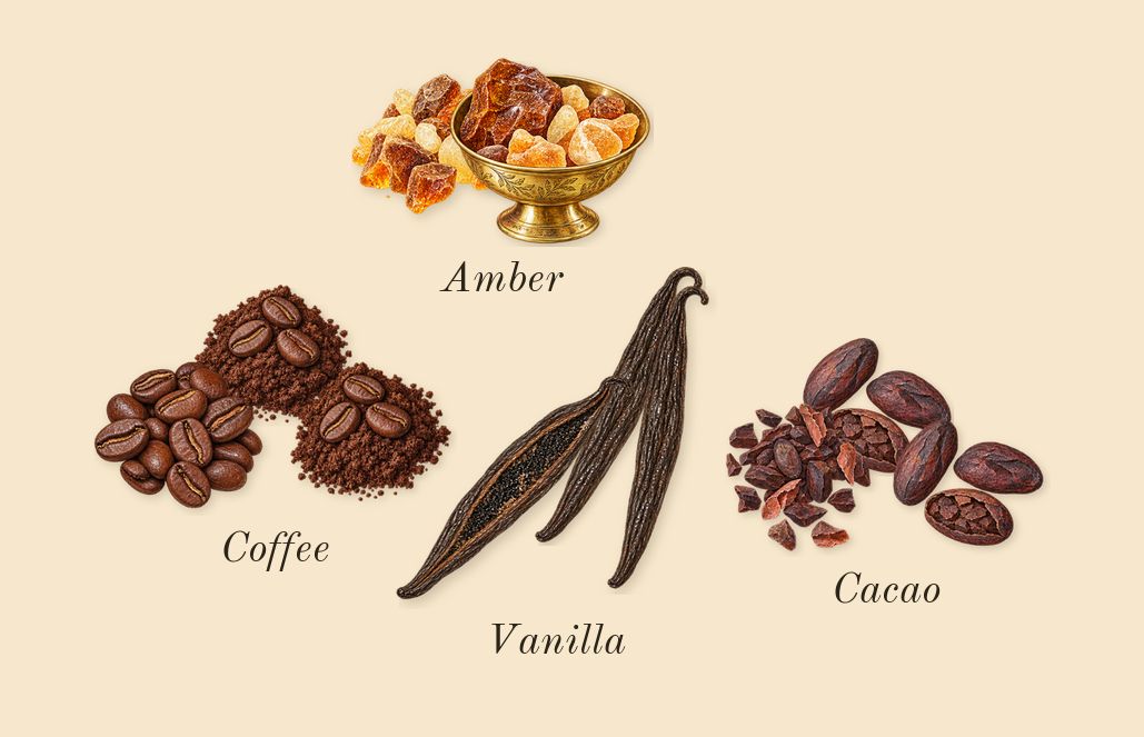 Followed, dry-down: Coffee, Vanilla, Cacao, Amber