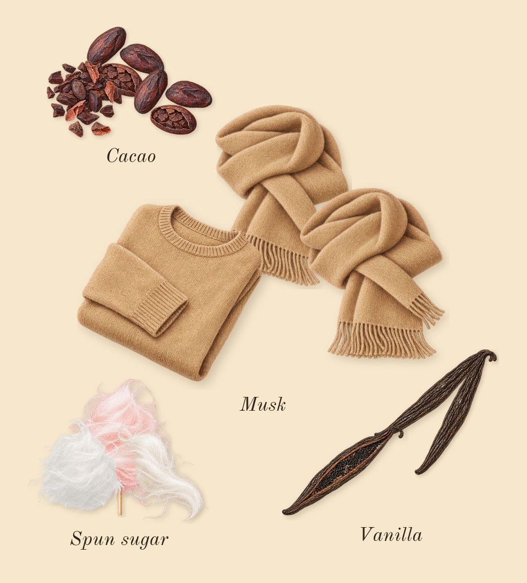 Sweetly Known, dry-down: Cacao, Spun sugar, Vanilla, Musk