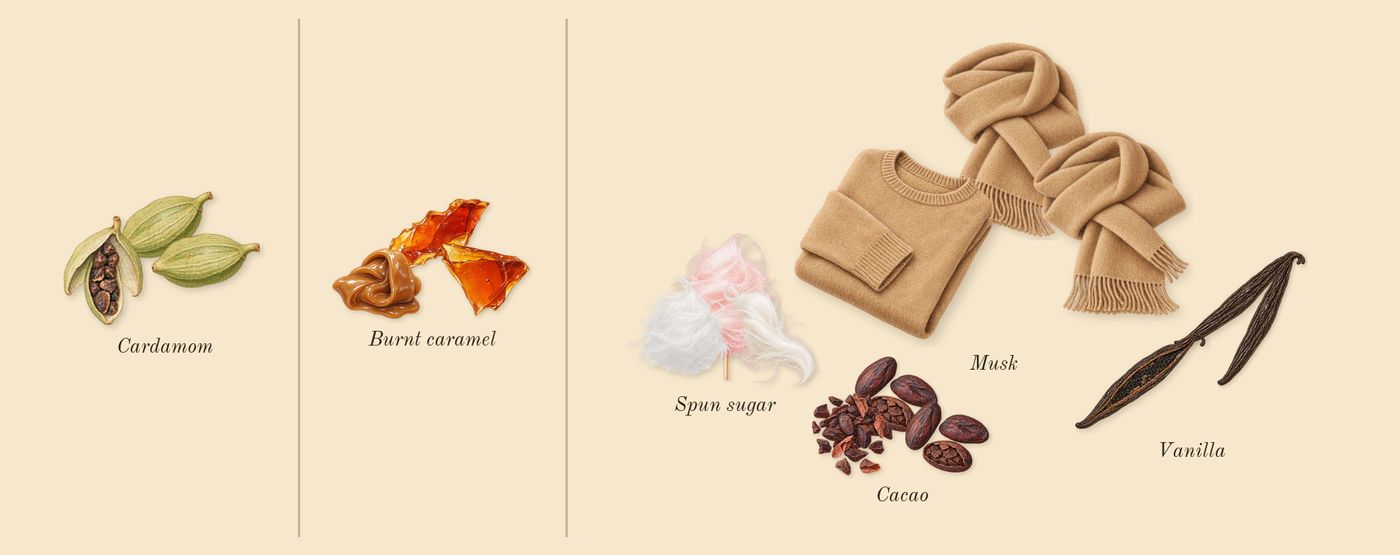 Sweetly Known’s scent picture, a draft: cardamom, cacao, spun sugar, burnt caramel, vanilla, musk drawn so far; dashed outlines where nothing is drawn yet