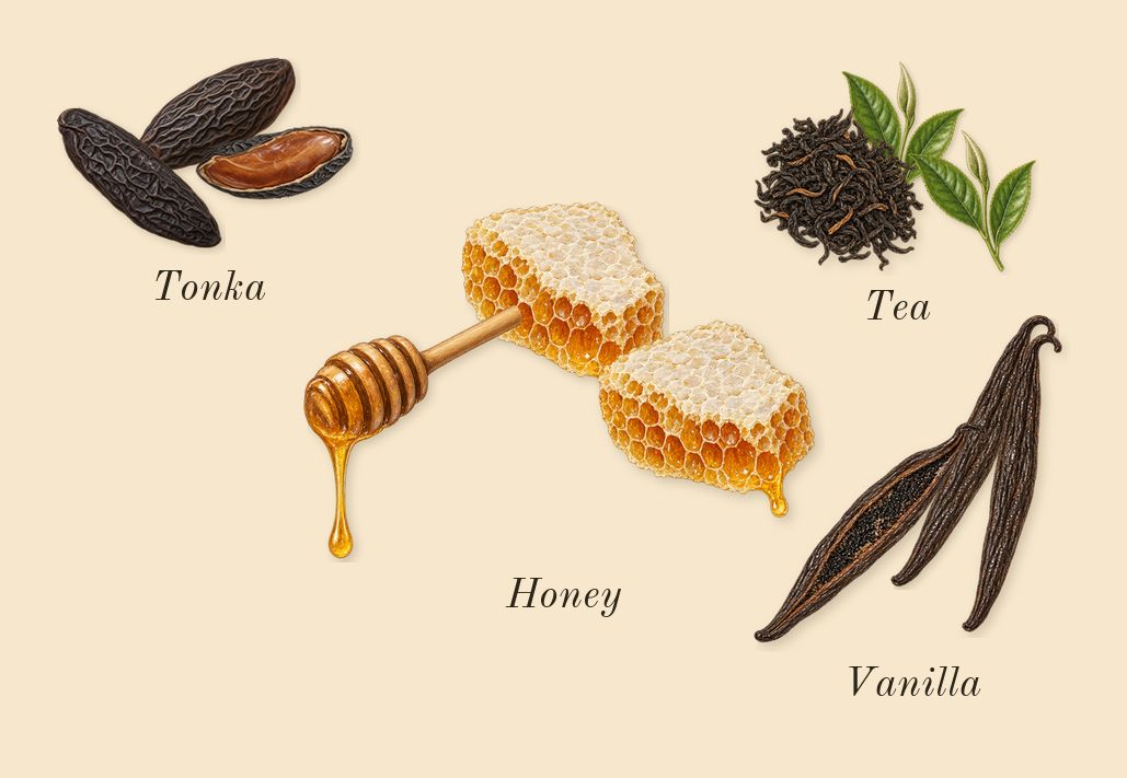 Unknown Pleasures, dry-down: Tea, Honey, Tonka, Vanilla