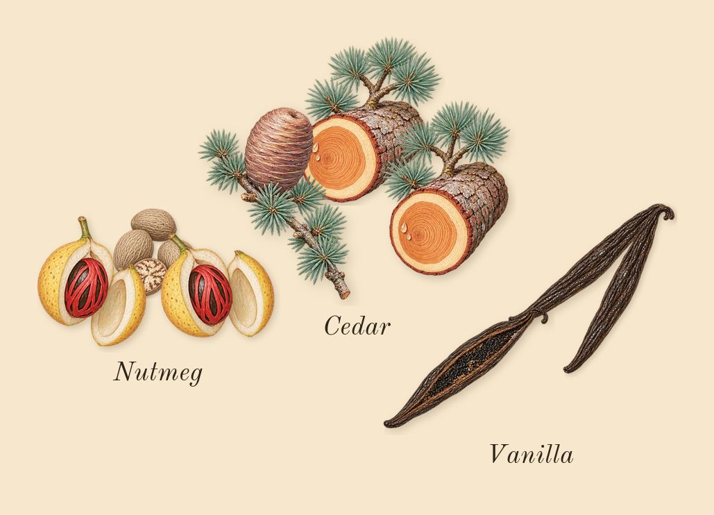Fursan White, dry-down: Vanilla, Cedar, Nutmeg