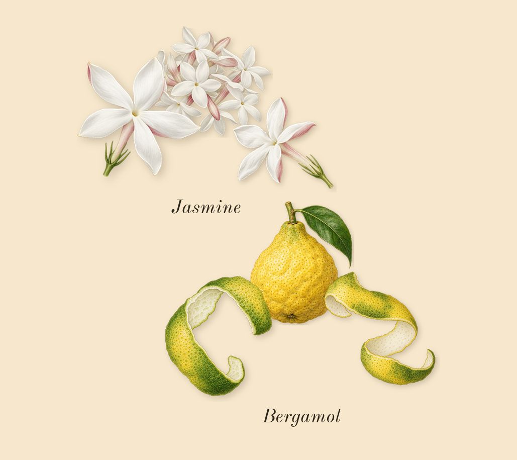 Fursan White, top notes: Bergamot, Jasmine