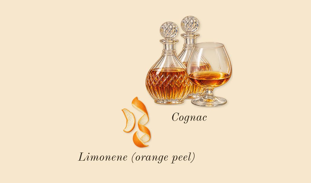 Angels' Share, top notes: Cognac, Limonene (orange peel)