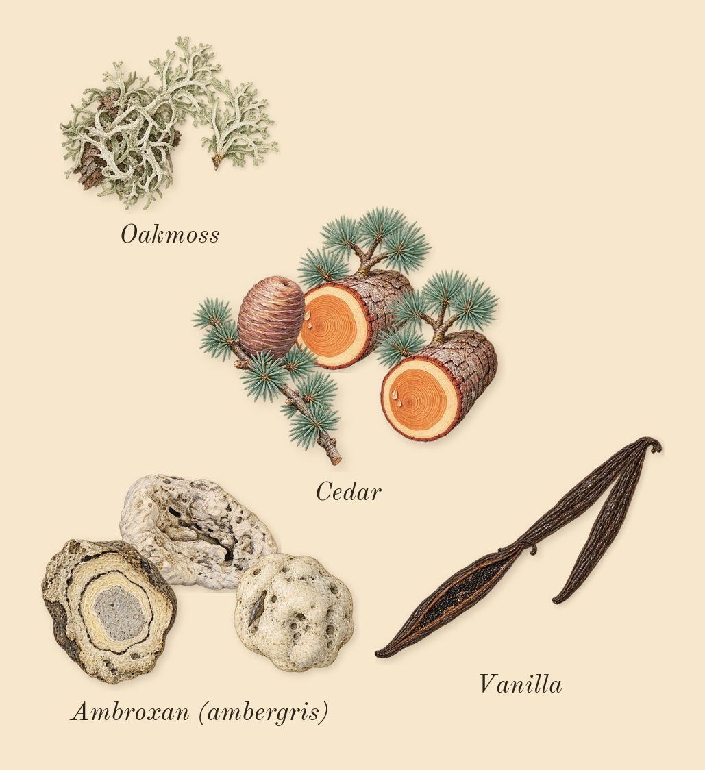 Apple Brandy on the Rocks, dry-down: Oakmoss, Vanilla, Cedar, Ambroxan (ambergris)