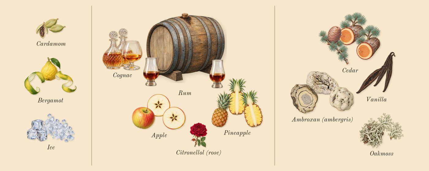 Apple Brandy on the Rocks’s scent picture, a draft: ice, apple, cognac, oakmoss, vanilla, bergamot drawn so far; dashed outlines where nothing is drawn yet
