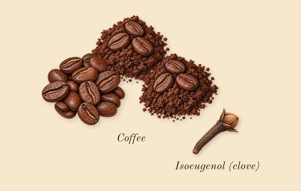 Black Phantom, heart: Coffee, Isoeugenol (clove)