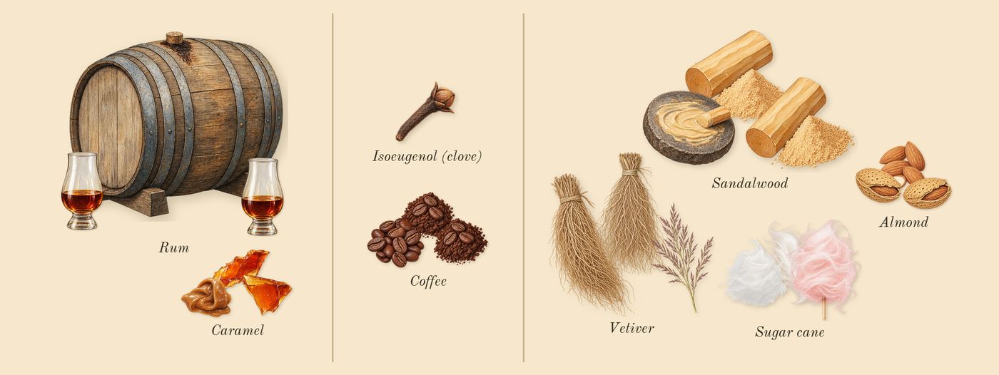 Black Phantom’s scent picture, a draft: rum, caramel, coffee, almond, sugar cane, sandalwood drawn so far; dashed outlines where nothing is drawn yet
