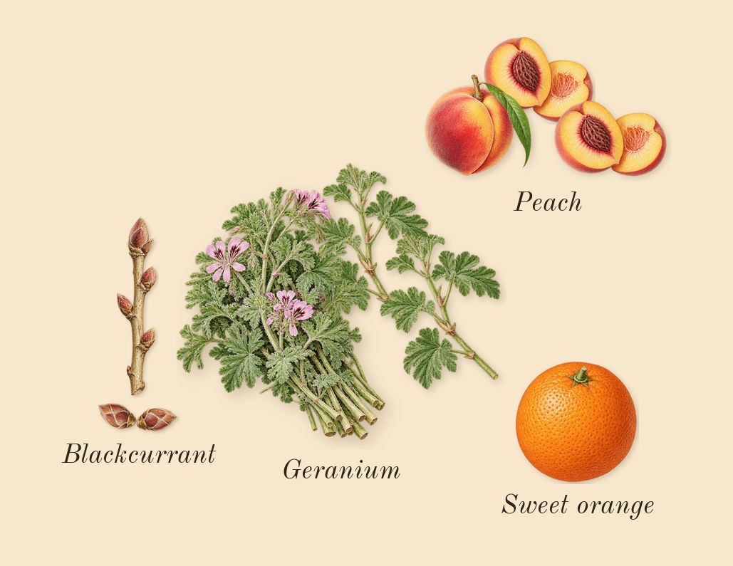 Forbidden Games, top notes: Peach, Blackcurrant, Geranium, Sweet orange