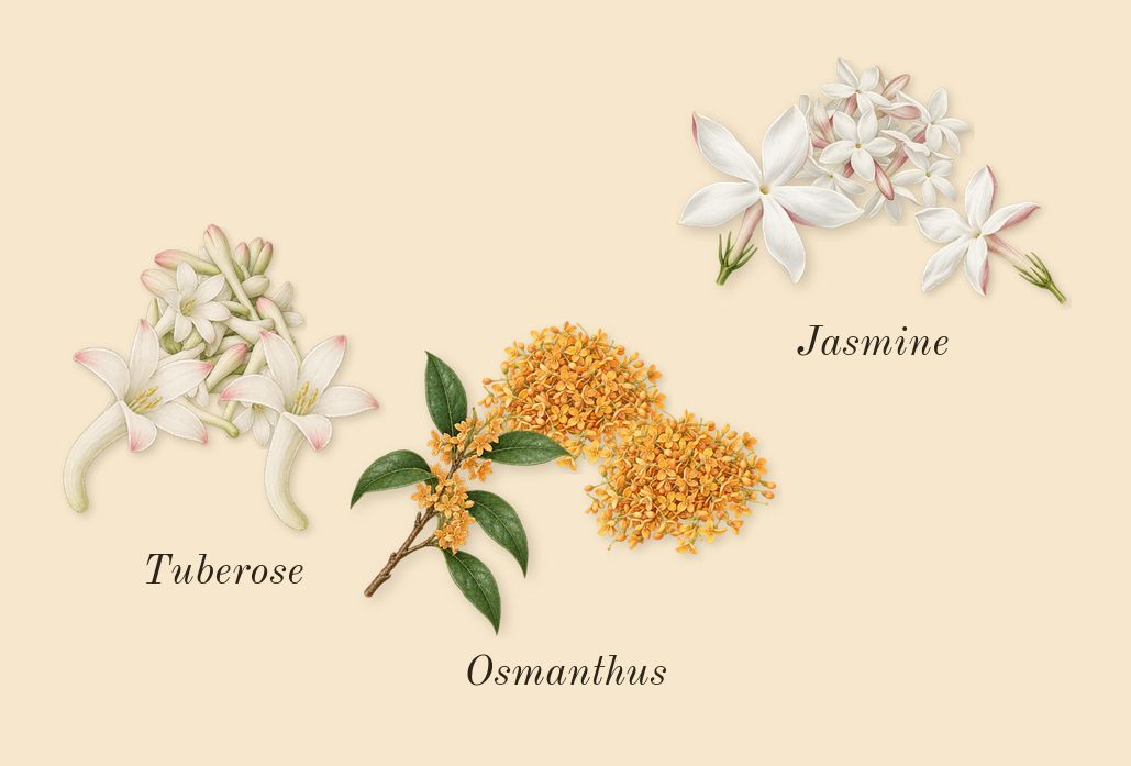 Good Girl Gone Bad, heart: Osmanthus, Tuberose, Jasmine