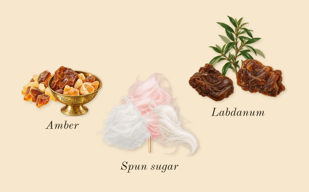 Love, Don't Be Shy, dry-down: Spun sugar, Labdanum, Amber