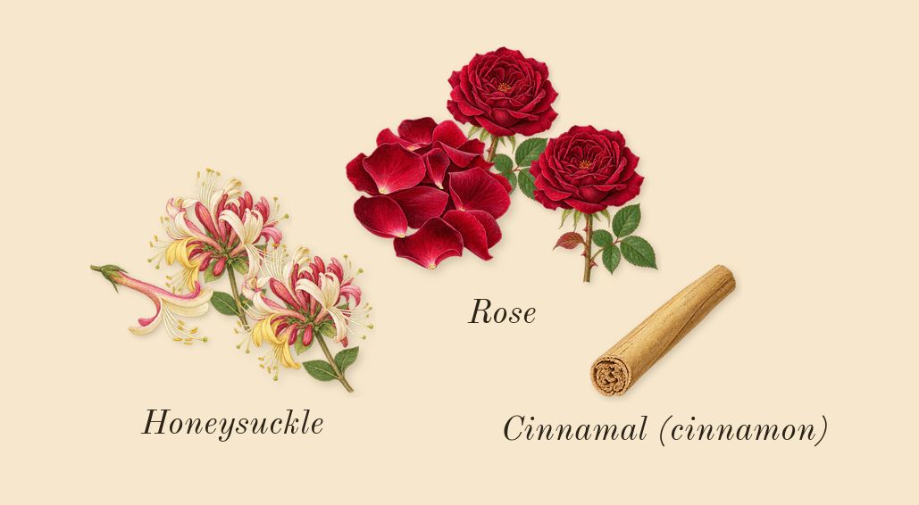 Love, Don't Be Shy, heart: Rose, Honeysuckle, Cinnamal (cinnamon)