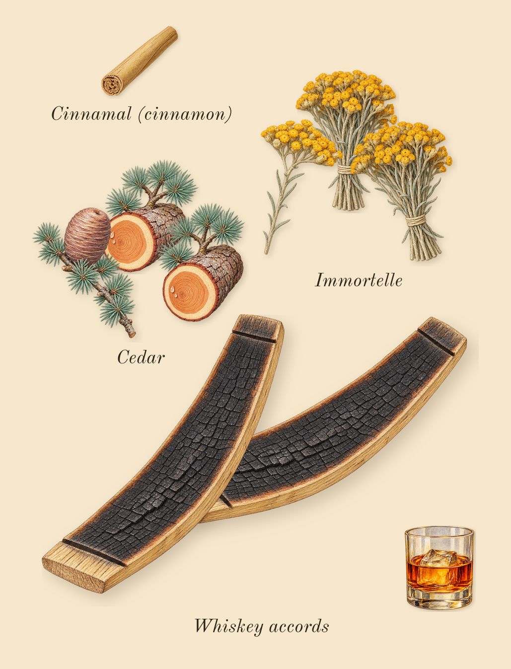 Old Fashioned, heart: Cedar, Immortelle, Whiskey accords, Cinnamal (cinnamon)
