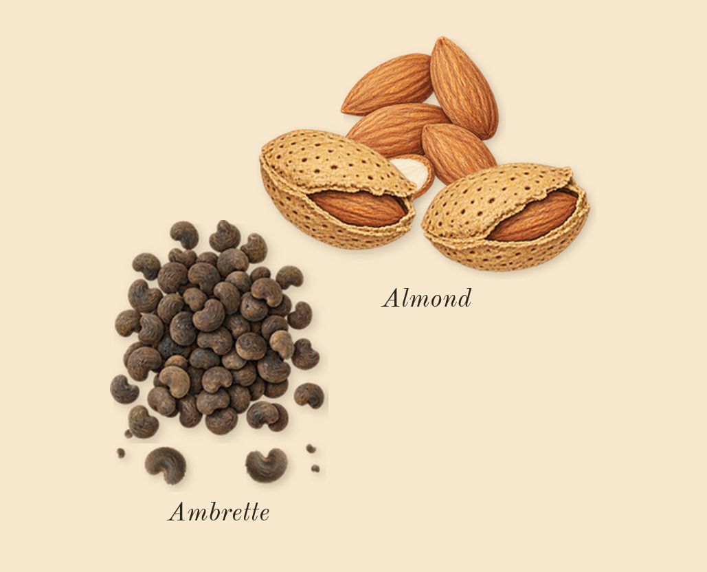 Rolling in Love, top notes: Almond, Ambrette