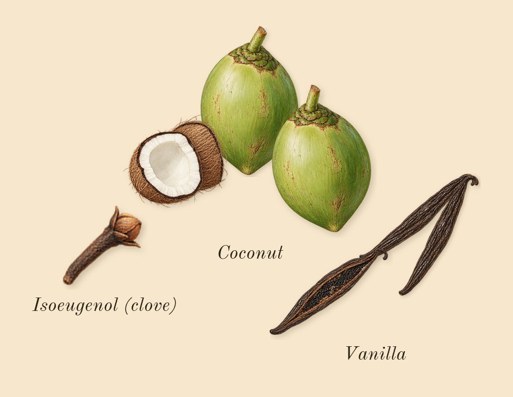 Sunkissed Goddess, heart: Coconut, Vanilla, Isoeugenol (clove)