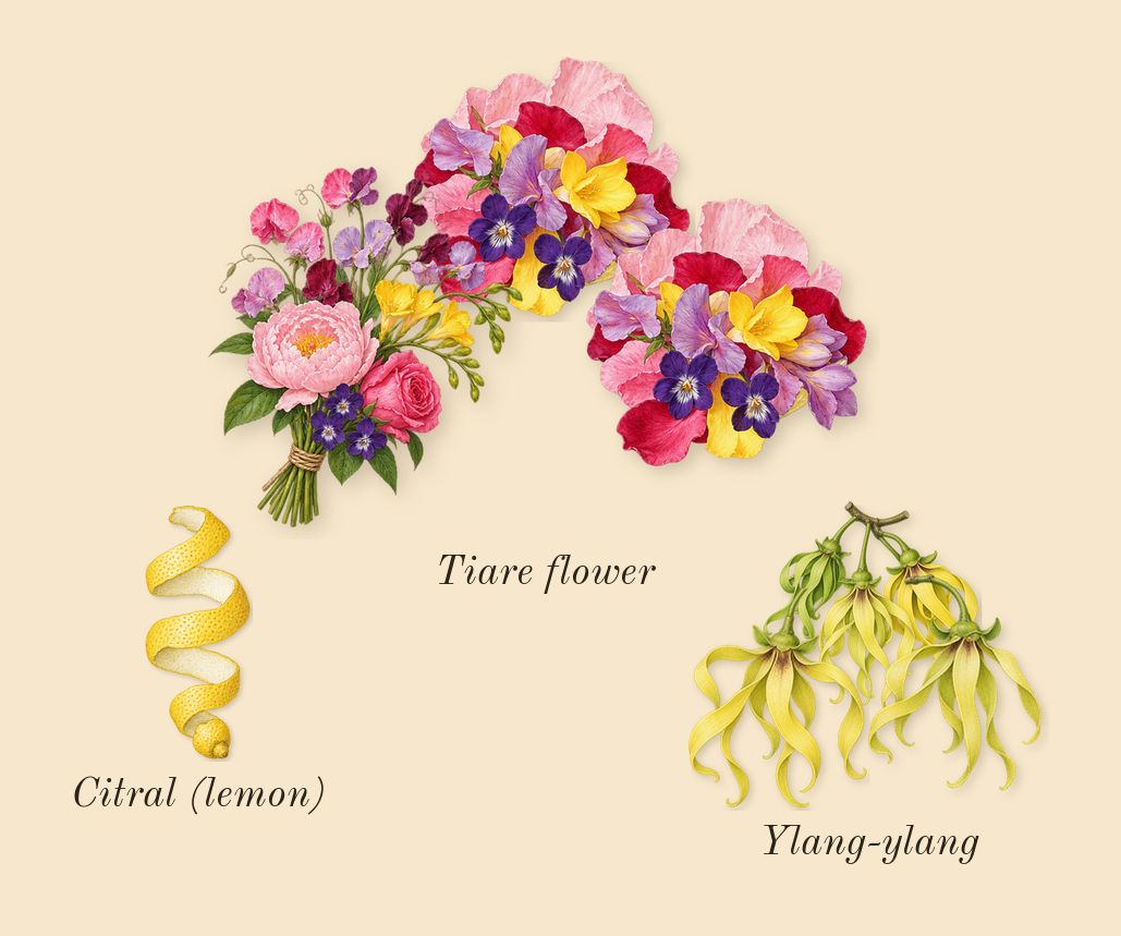 Sunkissed Goddess, top notes: Ylang-ylang, Tiare flower, Citral (lemon)