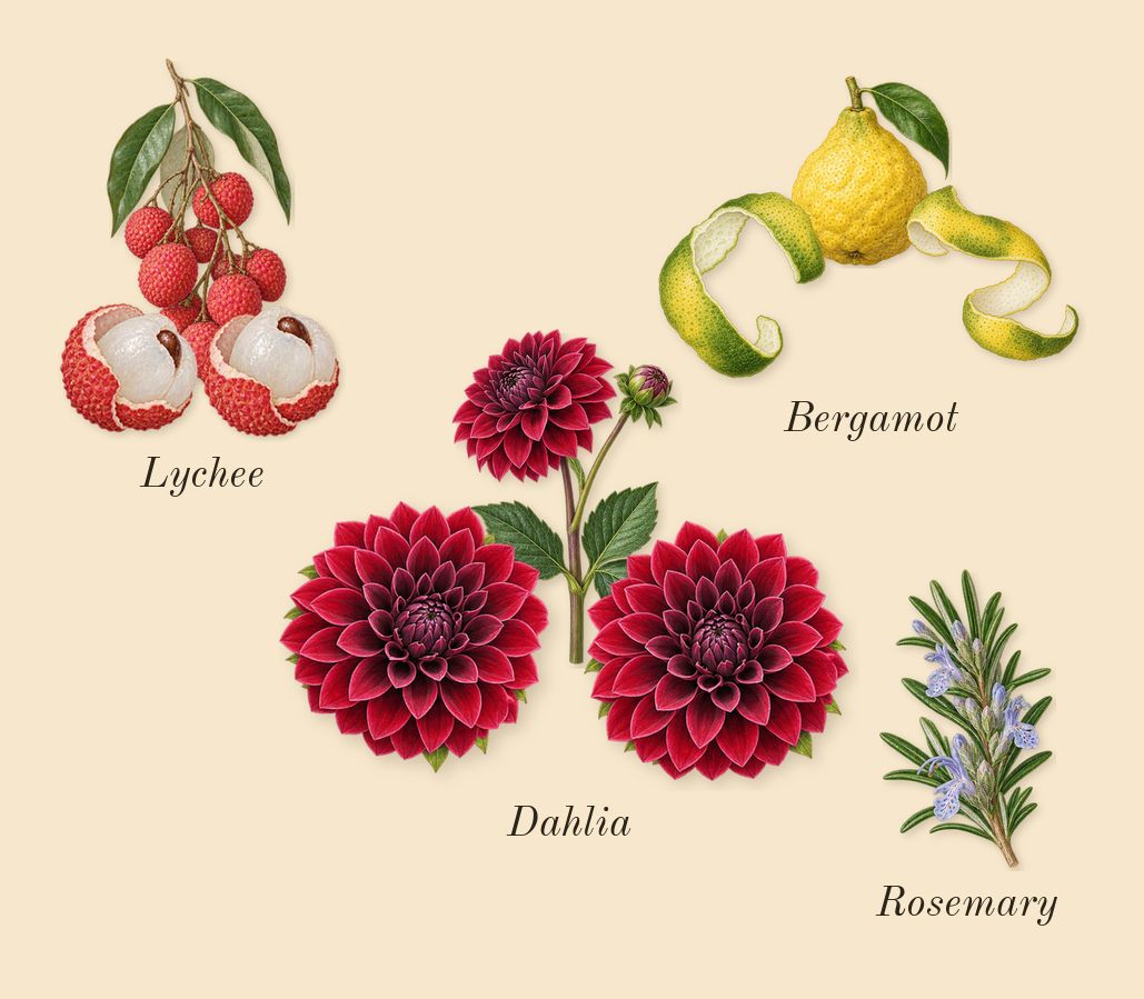 Midnight Dahlia, top notes: Lychee, Dahlia, Bergamot, Rosemary