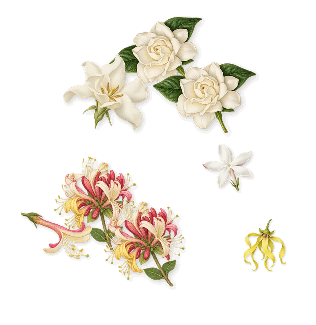 Blush Wood, as it settles: Honeysuckle, Gardenia, Jasmine, Ylang-ylang
