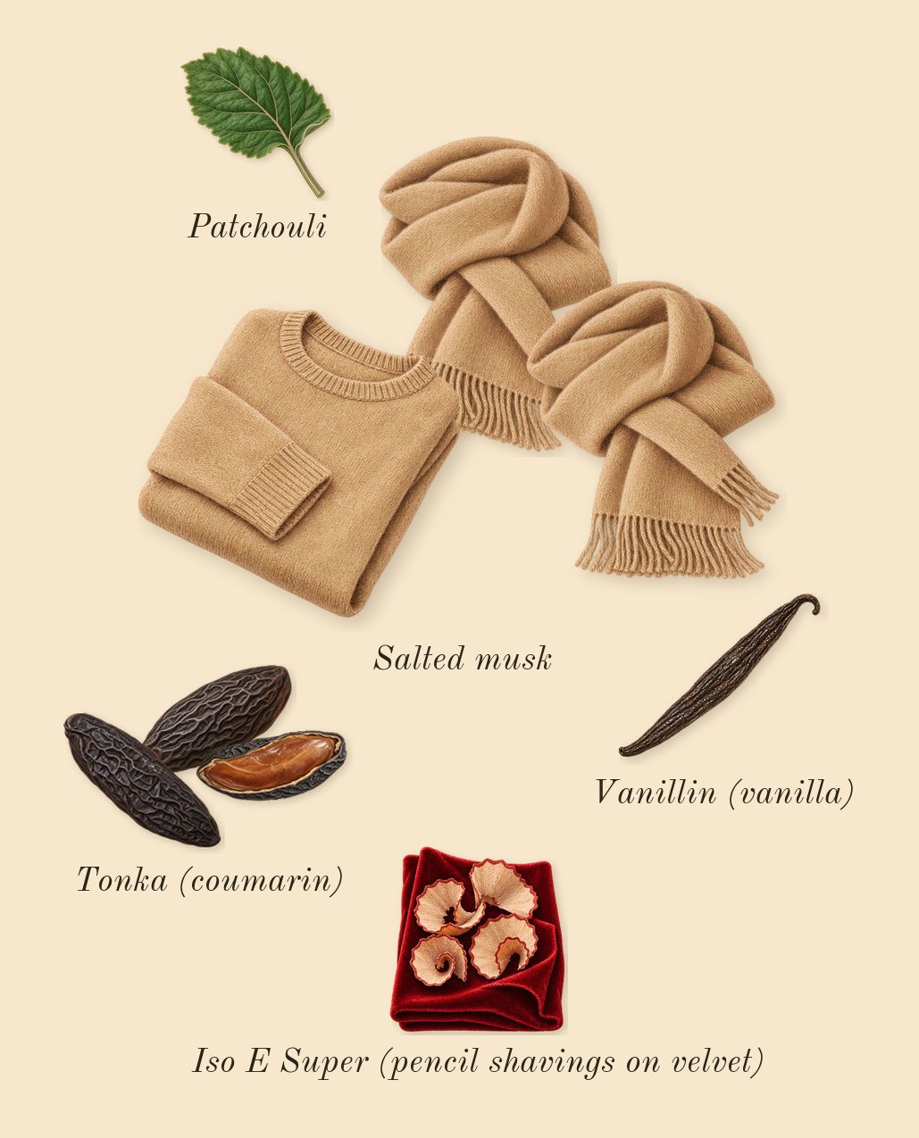 Cashmere Muse, dry-down: Tonka (coumarin), Salted musk, Patchouli, Iso E Super (pencil shavings on velvet), Vanillin (vanilla)