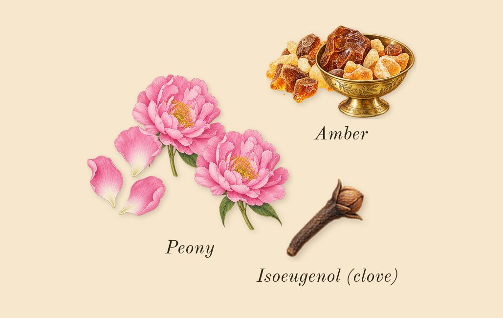 Cosmic Kylie Jenner, heart: Amber, Peony, Isoeugenol (clove)
