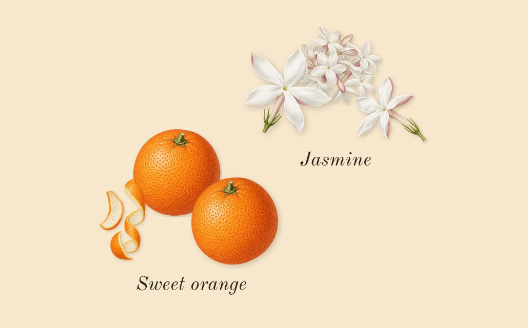 Cosmic Kylie Jenner, top notes: Jasmine, Sweet orange