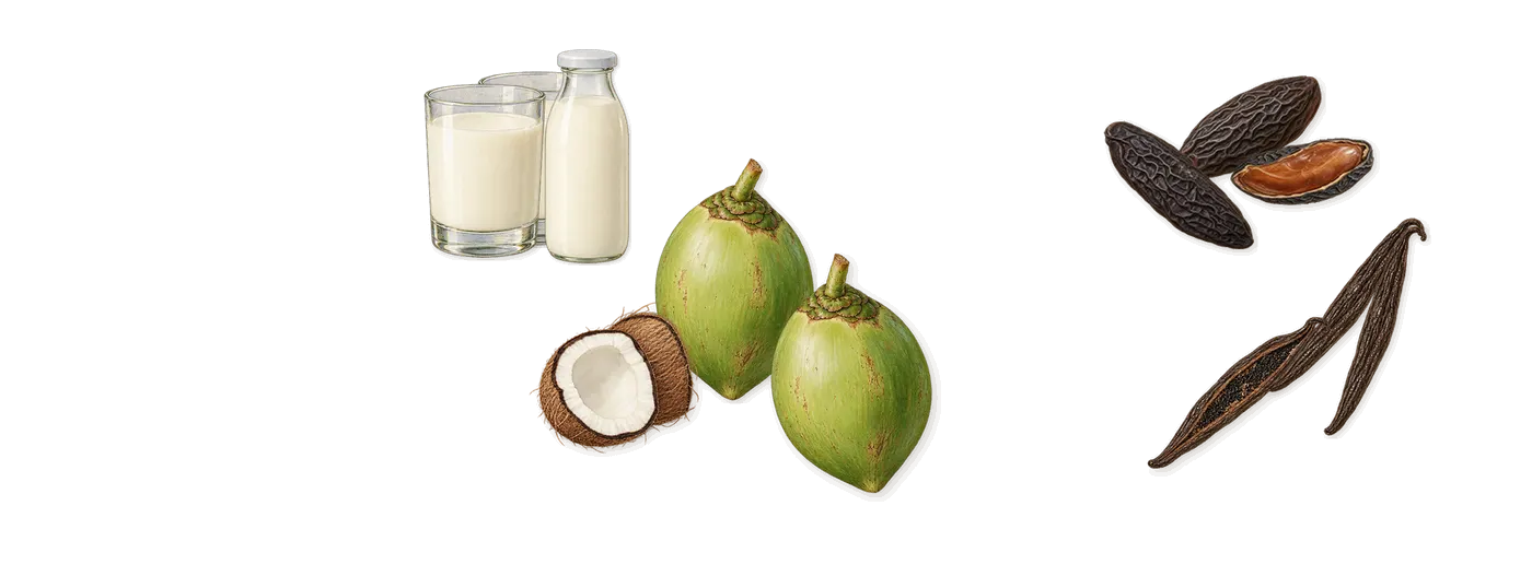 Cocco alla Vaniglia’s scent picture, a draft: coconut, vanilla, tonka, milk drawn so far; dashed outlines where nothing is drawn yet