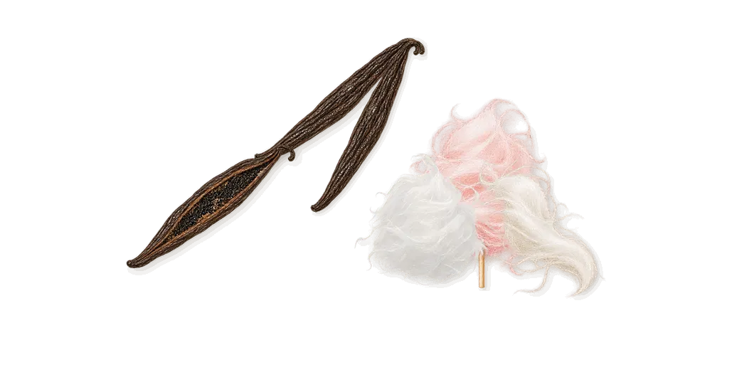 Delizia di Marshmallow, what stays: Spun sugar, Vanilla