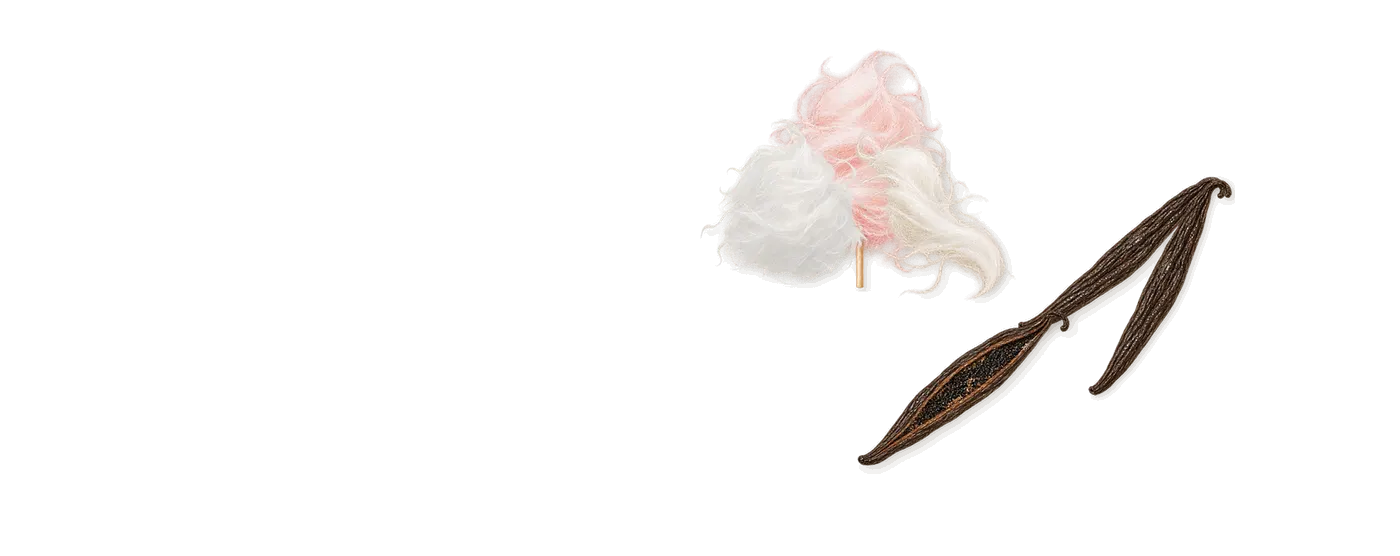 Delizia di Marshmallow’s scent picture, a draft: spun sugar, vanilla drawn so far; dashed outlines where nothing is drawn yet