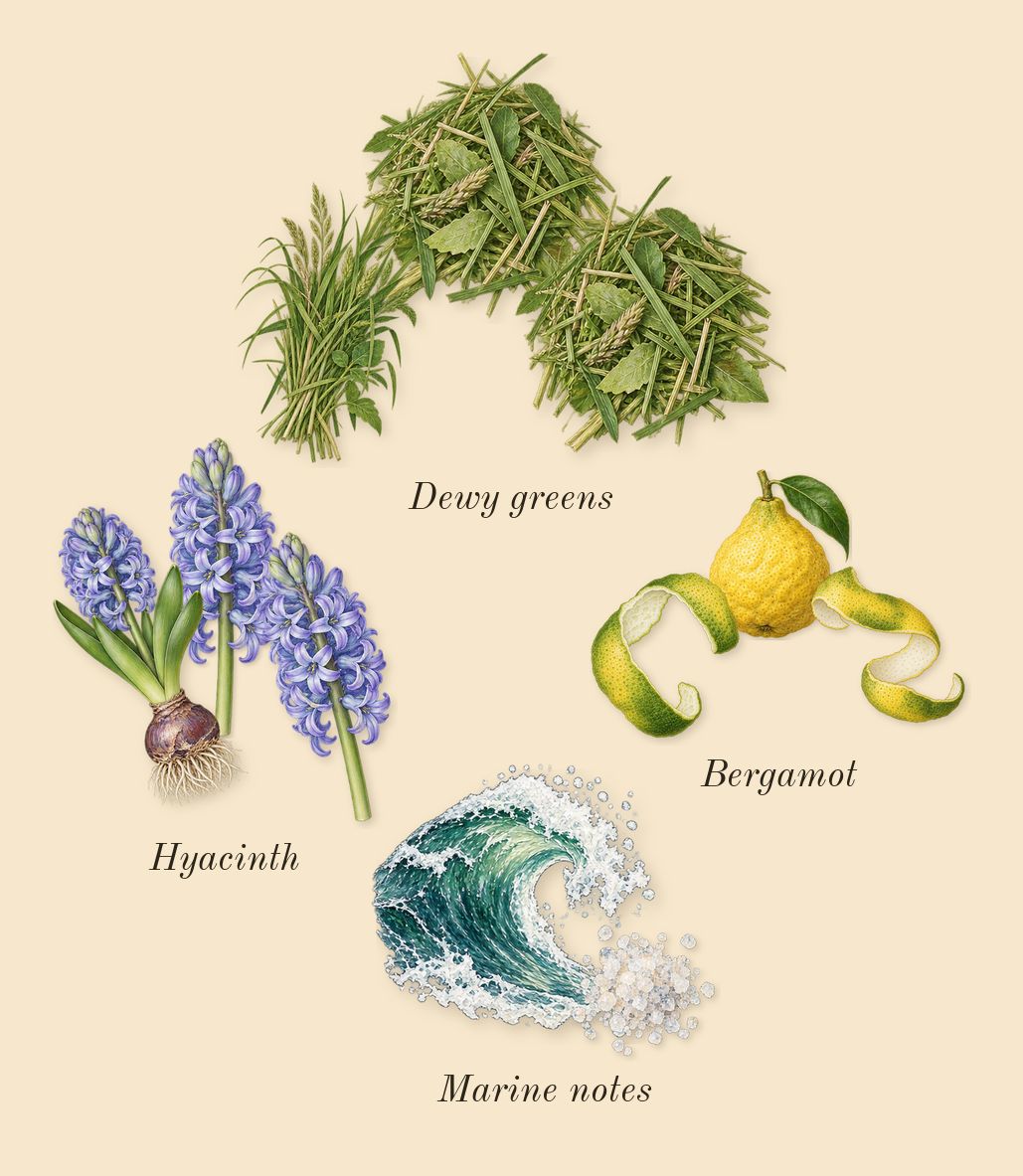 11 11 Azure, top notes: Marine notes, Hyacinth, Bergamot, Dewy greens