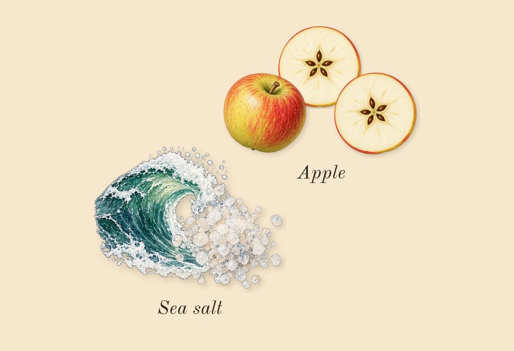 11 11 Vanilla, top notes: Sea salt, Apple