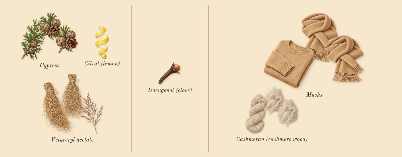 Encre Noire’s scent picture, a draft: cypress, vetyveryl acetate, cashmeran (cashmere wood), musks, citral (lemon), isoeugenol (clove) drawn so far; dashed outlines where nothing is drawn yet