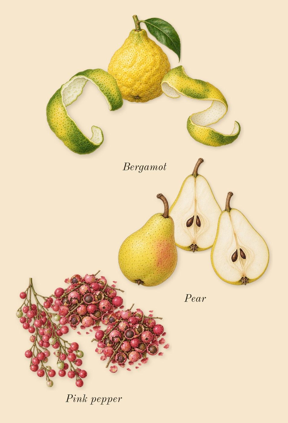 Idôle, top notes: Bergamot, Pear, Pink pepper