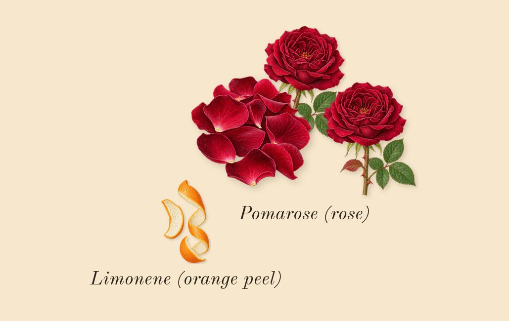 Idôle Power, top notes: Pomarose (rose), Limonene (orange peel)