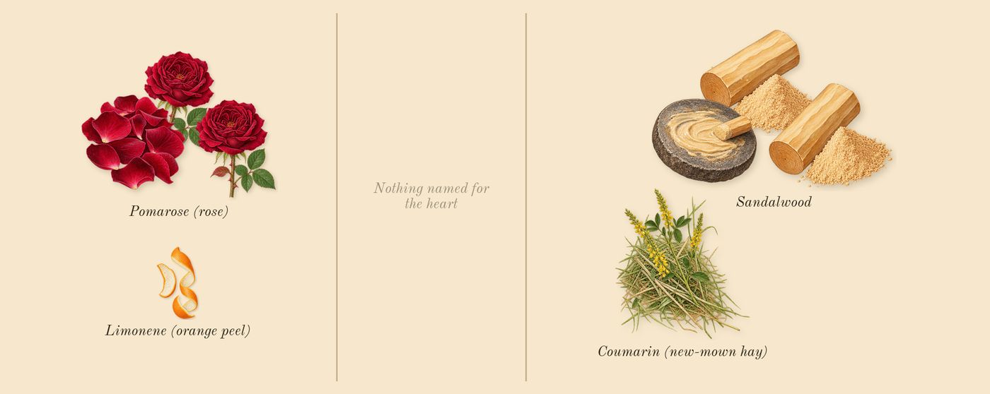 Idôle Power’s scent picture, a draft: pomarose (rose), sandalwood, coumarin (new-mown hay), limonene (orange peel) drawn so far; dashed outlines where nothing is drawn yet