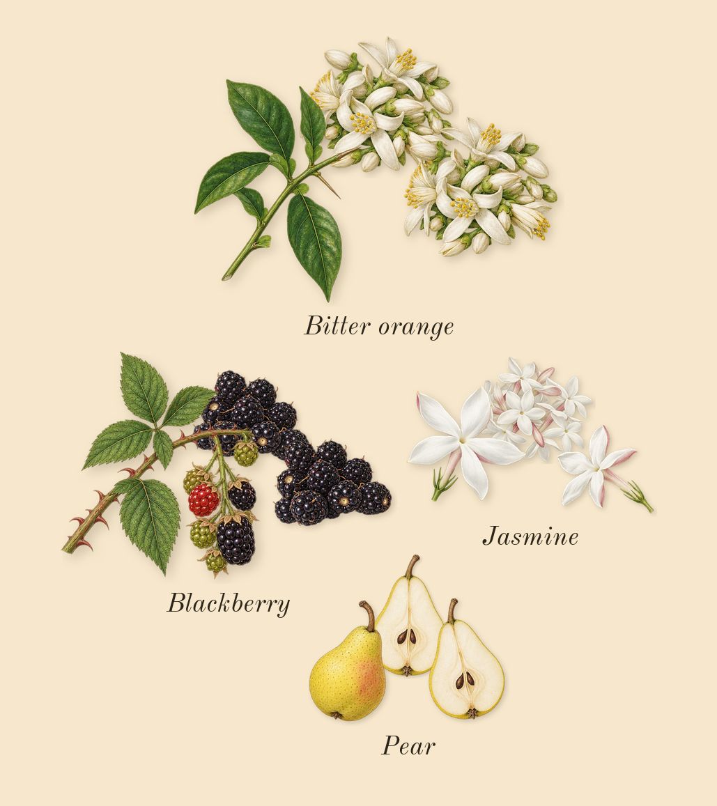 La Vie Est Belle, heart: Pear, Blackberry, Bitter orange, Jasmine